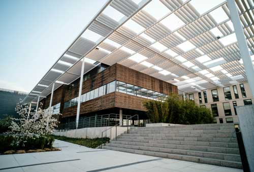 Pic-3